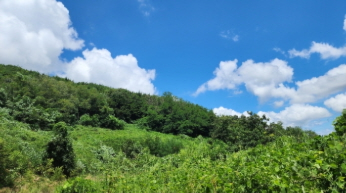 토지 - 2024타경112843