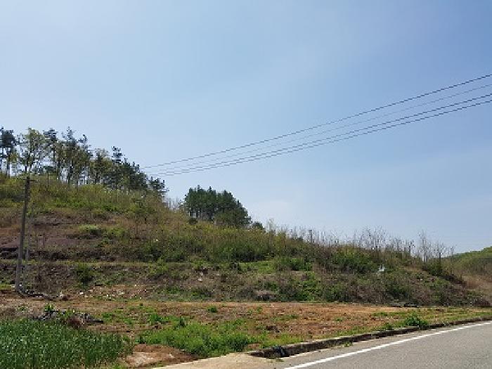 토지 - 2025타경10165