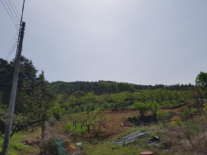 토지 - 2025타경10167