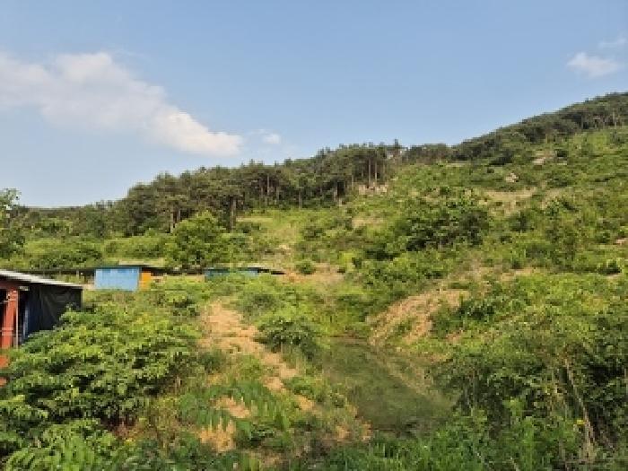 토지 - 2025타경10175