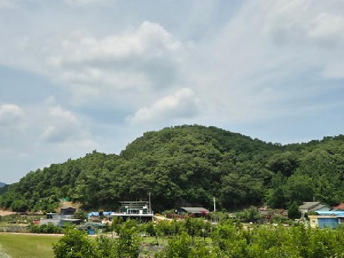 토지 - 2025타경10192