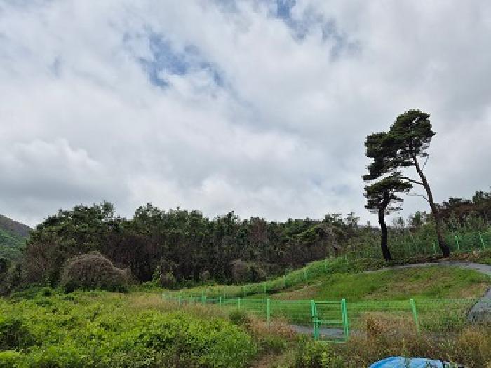 토지 - 2025타경10206