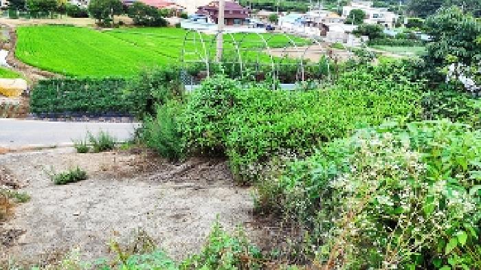 토지 - 2025타경1069