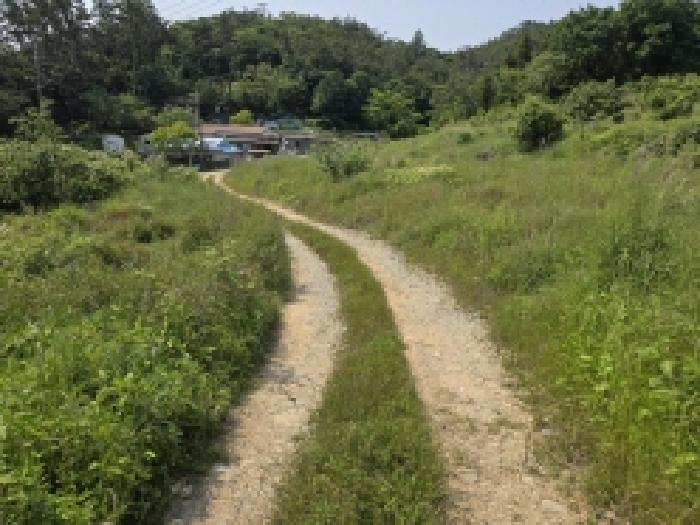 토지 - 2025타경1092