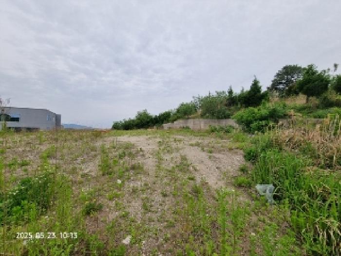 토지 - 2025타경11462