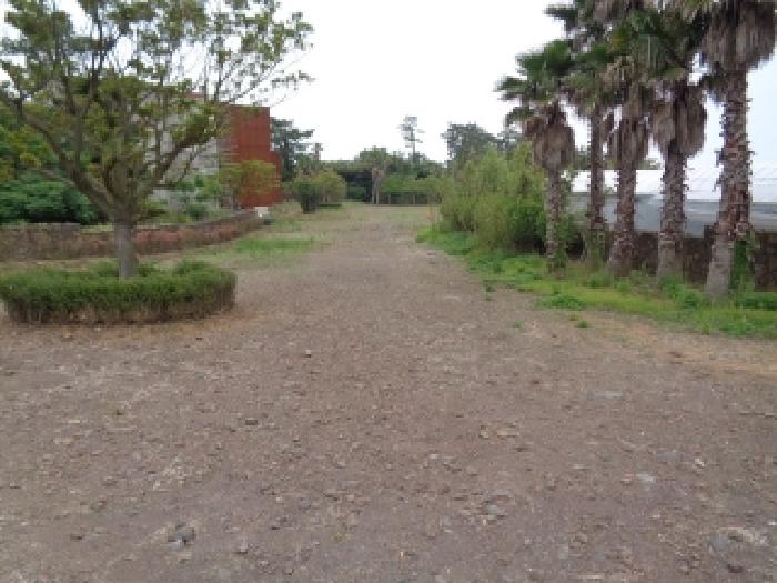 토지 - 2025타경1357