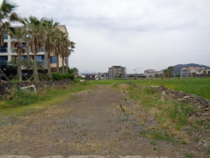 토지 - 2025타경1386