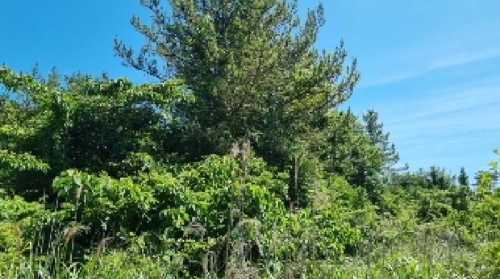 토지 - 2025타경1404