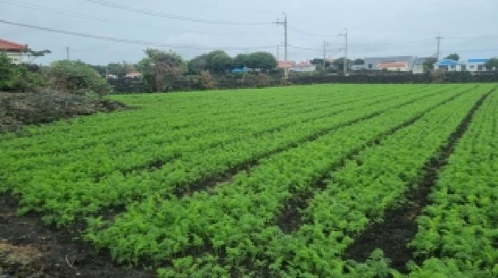 토지 - 2025타경1559