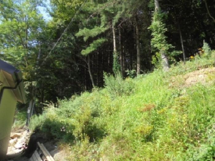 토지 - 2025타경20388