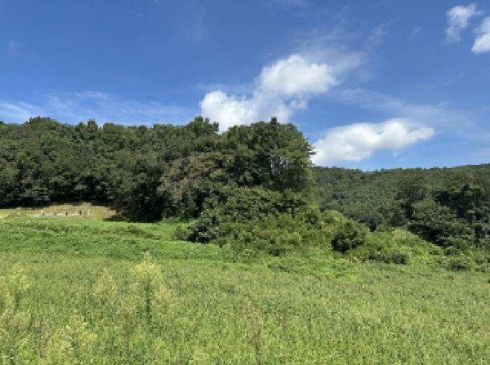 토지 - 2025타경4278