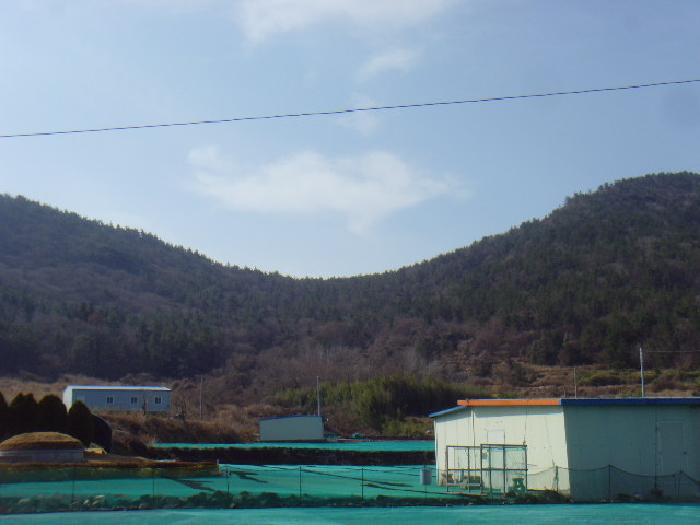 토지 - 2025타경50355