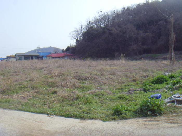 토지 - 2025타경50382