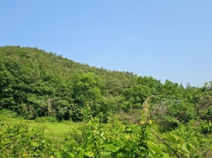 토지 - 2025타경50456