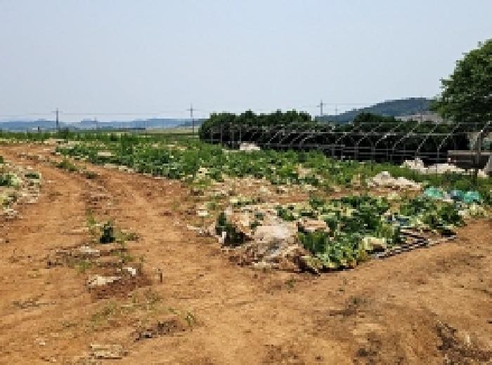 토지 - 2025타경50471