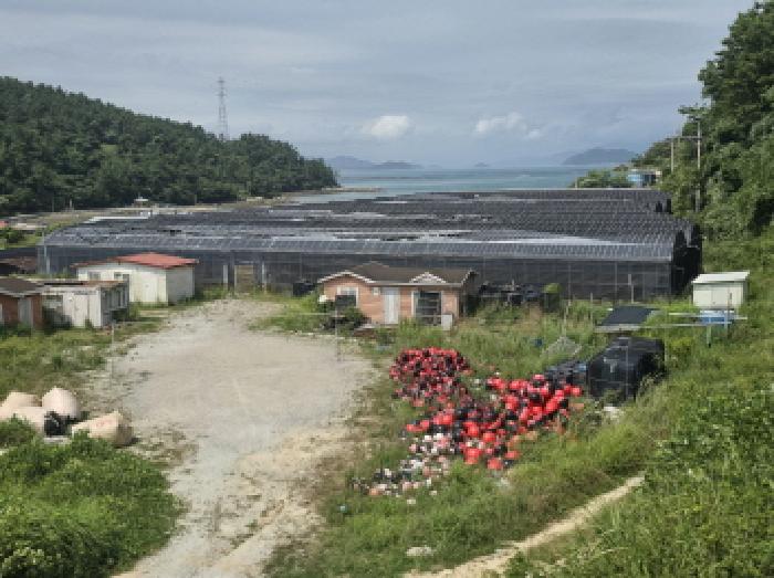 토지 - 2025타경50552