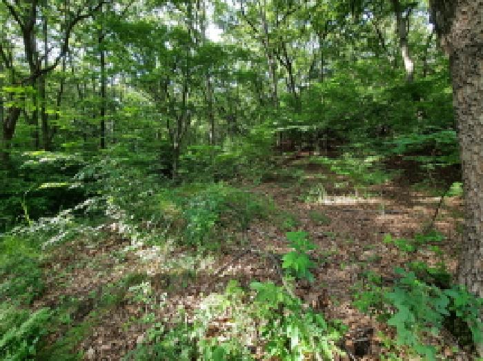 토지 - 2025타경52566