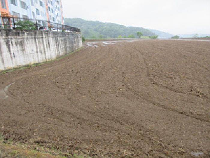 토지 - 2025타경5296