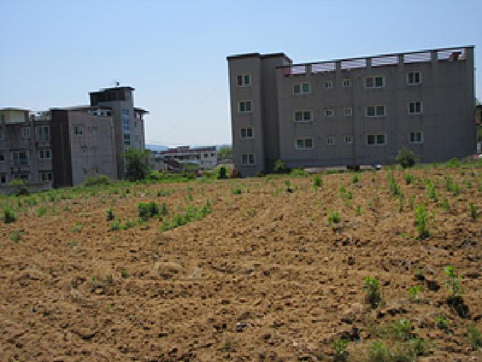 토지 - 2025타경5312