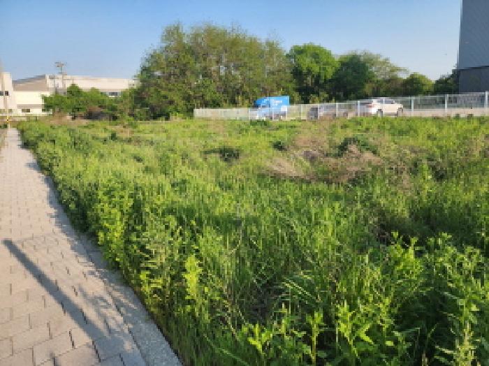 토지 - 2025타경55748