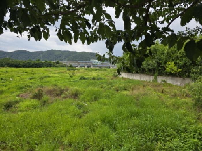 토지 - 2025타경8658